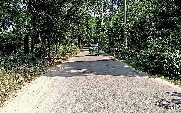 দিনেও চলতে ভয়, সন্ধ্যায় বন্ধ যানবাহন! কক্সবাজারের সড়কে ডাকাত আতঙ্ক