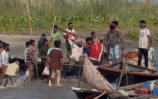 পদ্মায় ইলিশ রক্ষার অভিযানে জেলেদের হামলা, ৫ জন আহত ও ৪১ জন আটক